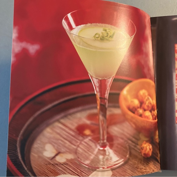 Shaken 250 Classic Cocktails Book with a Twist - Picture 7 of 16